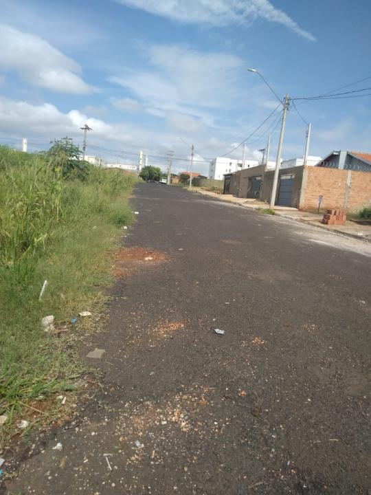 Foto 11 de 19 — Reclamação: “Onde deveria ser uma rua, só tem mato, lixo e água parada”, diz morador